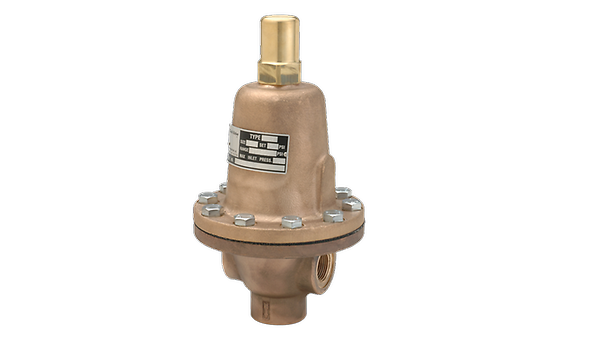 Cash Valve Series FR, Back Pressure Valves | Cash Valve US